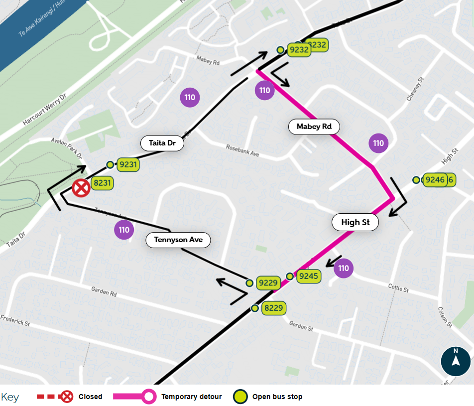Image shows closed stop and alternate stops with the bus detour